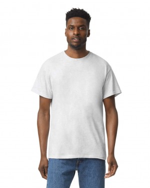 Ash Grey Men's Gildan 5000 T-Shirts | ISQB64310