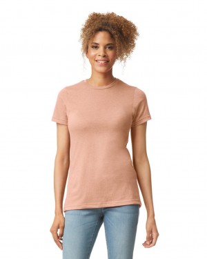 Dusty Rose Women's Gildan 67000L CVC T-Shirts | YRQZ54923