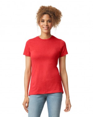 Red Mist Women's Gildan 67000L CVC T-Shirts | DPGW37814