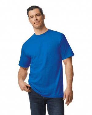 Royal Men's Gildan 2000T Tall T-Shirts | EZLR15369