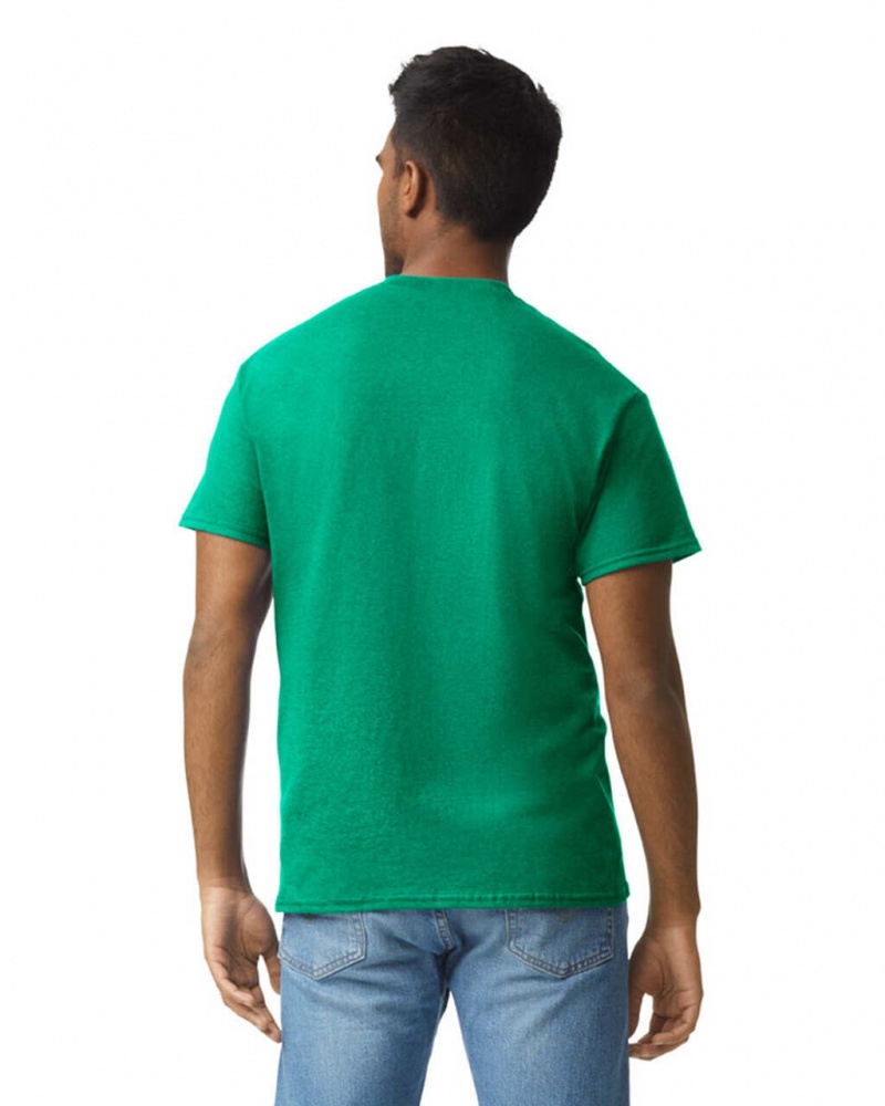 Kelly Green Men's Gildan 2000 T-Shirts | KLHI08961