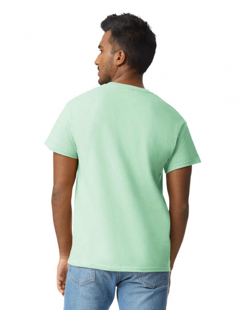 Mint Green Men's Gildan 2000 T-Shirts | SIPT01476