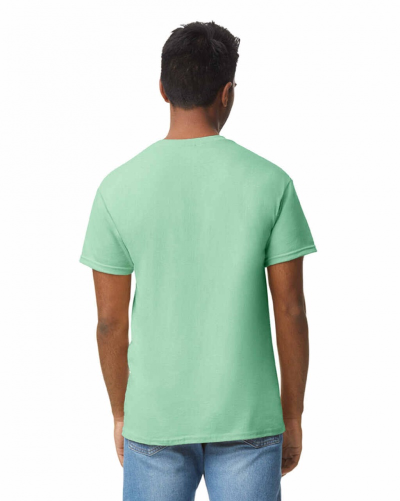 Mint Green Men's Gildan 5000 T-Shirts | FIWD08427